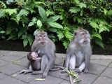 Bali_2015-03-26_14-33-20_016.JPG