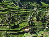 Bali_2015-03-27_11-05-44_039.JPG