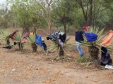 Myanmar_2015-04-18_11-21-47_054.JPG