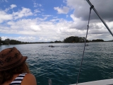 2015-02-04_11-40-00